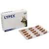Lypex 60 cps - - 976014504