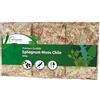 sphagnum-shop.com Muschio di sfagno per terrari e Orchidee dal Cile - Substrato Ideale e Bastoncini di Muschio (150 gr - 4000 gr) (1x 400 gr)