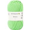 Schachenmayr Bravo 9801211, Gomitolo di Filo per Lavorazione a Maglia, Filato per Uncinetto, 100% poliacrilico, Kiwi, 15 x 7 x 7 cm