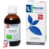 FITOMEDICAL SRL PILOSELLA TINTURA MADRE 50 ML BIO