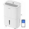 Shinco WIFI Deumidificatore Portatile 30L/Giorno, Purificatore d'aria, Filtro a Carbone Attivo, Timer 24 Ore, Scarico Continuo, Funzione Asciugatrice, Bianco