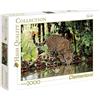 Clementoni - 32537 - High Quality Collection Puzzle - Leopard - 2000 Pezzi, puzzle adulti