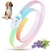 Puqoeuoa Collare Antiparassitario Per Cani, 69cm Impermeabile & Regolabile, Antipulci Per Cani Previene la Leishmaniosi Efficace 8 Mesi Colorato