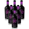 Vino Rosso Cabernet Sauvignon Icòna Veneto DOC Astoria 6 bottiglie 75 cl.