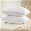 UNIKOME cuscino in piuma d'oca e piumino, set di 2 cuscini 40x60cm, federa di lusso in 100% cotone, lavabile, Oeko-TEX, bianco (40×60cm)