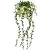 Flair Flower Senecio - Pianta artificiale sospesa per piante grasse, decorazione da parete, fiori artificiali, piante rampicanti, edera, piante verdi, piante da interno, ghirlanda