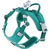 Hurtta Weekend Warrior - Pettorina per cani II ECO (Peacock, turchese, 45-60 cm)