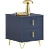 SoBuy Comodino, Comodino con 2 cassetti, Tavolino moderno per camera da letto e soggiorno, Blu L40 x P40 x A47 cm FBT115-B
