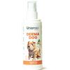 UNION BIO Srl Derma dog lozione rigenerante cute 125 ml - - 911429025