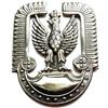 773 POLACCO AIR FORCE AQUILA CAP BADGE POLONIA WW2