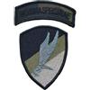 722 PATCH OF AIRBORNE BRIGADE - POLISH SPECIAL FORCE POLONIA - WOJSKA SPECJALNE