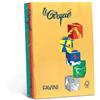 Favini Carta colorata Favini Le Cirque A4 80 g/m² assortiti 5 colori forti risma da 500 fogli - A71X514 conf. 500 pz - F01525