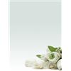 Decadry Carta con stampa "rosa bianca'" A4 90gr 20fg decadry - Z05760