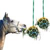 Besimple Confezione da 2 palline per cavalli, mangiatoie per fieno, mangiatoia per capre, per cavalli, capre, pecore, alleviano lo stress (colorati)