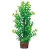 Hobby 51535 Flora Stone 6