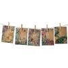 Magic Garden Seeds Advent Calendar Do-It-Yourself