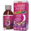 GDP SRL-GENERAL DIETET.PHARMA WINTER GAMBE SLIM FORMULA TRIFASICA 300 ML