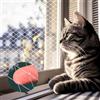 WangChaoJiu Rete per gatti da balcone 3x2m, 2 pz in nylon resistente UV, protezione sicura senza forare, trasparente per finestre, rete di sicurezza per animali domestici robusta e facile da installare