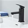 Sumeber Rubinetto da bagno nero rubinetto lavabo rubinetto lavabo angolare bagno miscelatore lavabo lavabo in acciaio inox miscelatore monocomando con tubo di ingresso dell'acqua (quadrato corto