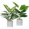 Der Rose - Confezione da 2 piante finte tropicali artificiali per interni, ufficio, scrivania, casa, decorazione color verde salvia