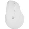 NATEC Mouse Natec Crake 2 senza fil Ottico 2400dpi 6 tasti Bianco [UMNATRBD0000041]