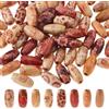 DICOSMETIC 350 perline ovali in legno naturale, 14 x 8 mm, perline macramè con foro grande, perline fatte a mano, perline sfuse stampate per braccialetti fai da te, gioielli, decorazioni per feste