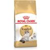 ROYAL CANIN Ragdoll Adult 10 kg