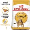 ROYAL CANIN Bengal Adult 20kg (2x10kg)