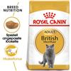 ROYAL CANIN British Shorthair 20kg (2x10kg)