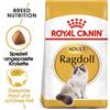 ROYAL CANIN Ragdoll adult 20kg (2x10kg)