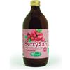 SANGALLI BERRYSAN PURO SUCCO CRANBERRY BIO Sangalli 500ml