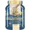MOLDES Srl Net integratori farmacia isolate pro grass fed vaniglia 700 g - NET INTEGRATORI FARMACIA - 988661183
