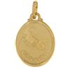 Gioielleria Lucchese Oro Ciondolo Segno Zodiacale Capricorno Oro Giallo GL100265