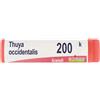Boiron Thuya Occidentalis 200k Contenitore Monodose