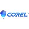 Corel Suite grafica CorelDRAW 365 Rnw (5-50)(1 anno) *