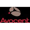 VERTIV Avocent Hardware Manutenzione Silver - Estensione del servizio - Exchange