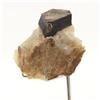 A Bijoux Flogopite. 614 Ct. Ampandandrava, Distretto Di Bekily, Madagascar.