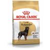 ROYAL CANIN Rottweiler 12 kg