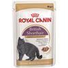 ROYAL CANIN British Shorthair cibo umido in salsa per gatti adulti British Shorthair 24x85 g