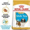 ROYAL CANIN Shih Tzu junior 1.5 kg