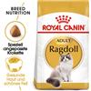 ROYAL CANIN Ragdoll adult 0.4 kg