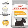 ROYAL CANIN Mini dermacomfort 8 kg