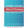 EnemyOne Come usare MailChimp per i principianti: Guida all'email marketing per gli autori indipendenti