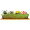 ARTKETTY Vasi per piante grasse in ceramica, 25 cm, moderni, lunghi, rettangolari, con vassoio, per cactus e bonsai, con drenaggio, per interni ed esterni, decorazione per la casa (verde)