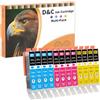 D&C 12x 551XL Cartucce d'inchiostro Compatibili con Canon 551XL Cartucce per Canon Pixma IP8750 IP7250 MG5650 MG5550 MX725 IX6850 MG6450 MG5450 MG6350 IP7200 MG6650 MX920 IX6800 MG5655 IX6820