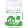 BIOFORLIFE ITALIA Srl THERZYME ACUTE POLVERE 160G
