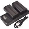 QIAO JIN LIN (2 Pack) NP-F550 DSTE Ricambio Batteria + Caricatore doppio LCD a ricarica rapida Compatibile per NP-F330, NP-F530, NP-F570 e Sony CCD-RV100, CCD-RV200, CCD-SC5, CCD-SC5/E, CCD-SC55E, CCD-SC55