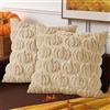 Benjia 2 Pezzi Federe Cuscini Autunno Copricuscini 40x40cm Federa Zucca Federa in Morbido Peluche federe decorative per cuscino autunnale per Ringraziamento Halloween Casa Soggiorno Divano (Beige)