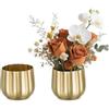 NUPTIO Vaso Fiori Centrotavola Oro: 2 Pezzi 10cm Metallo Coste Vasi Decorativo per Natale Matrimonio Centro Tavola Moderno - Piccoli Vasi Dorati Piante Interno Esterno Davanzale