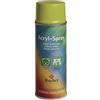 Rayher Spray Acrilico, Verde Mela, Bombola 200Ml, 34145416